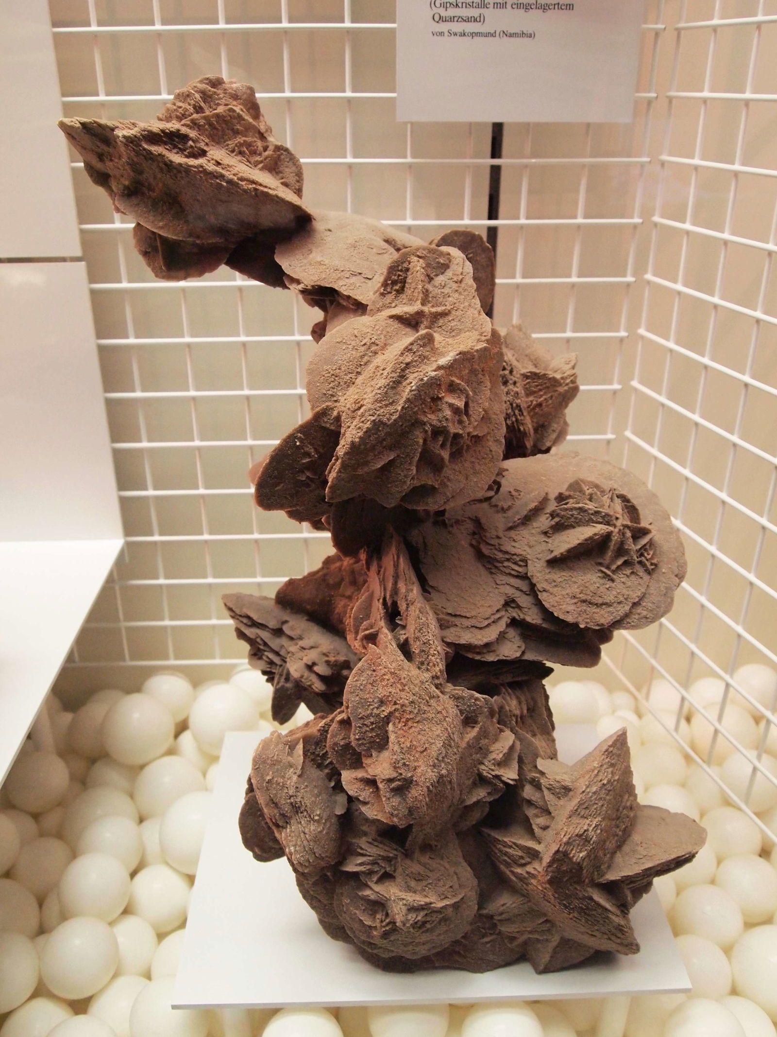 Museum Mensch und Natur