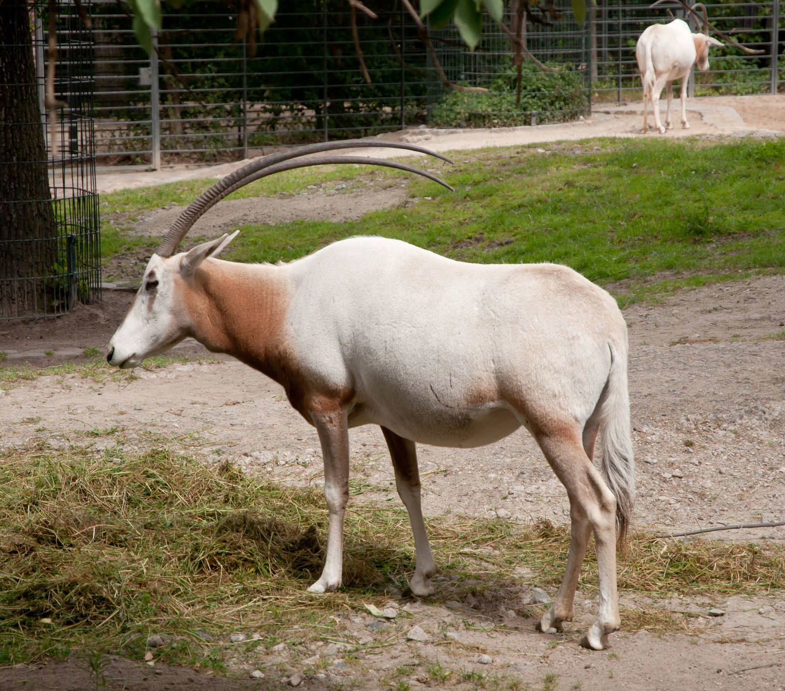 Zoologischer Garten Berlin