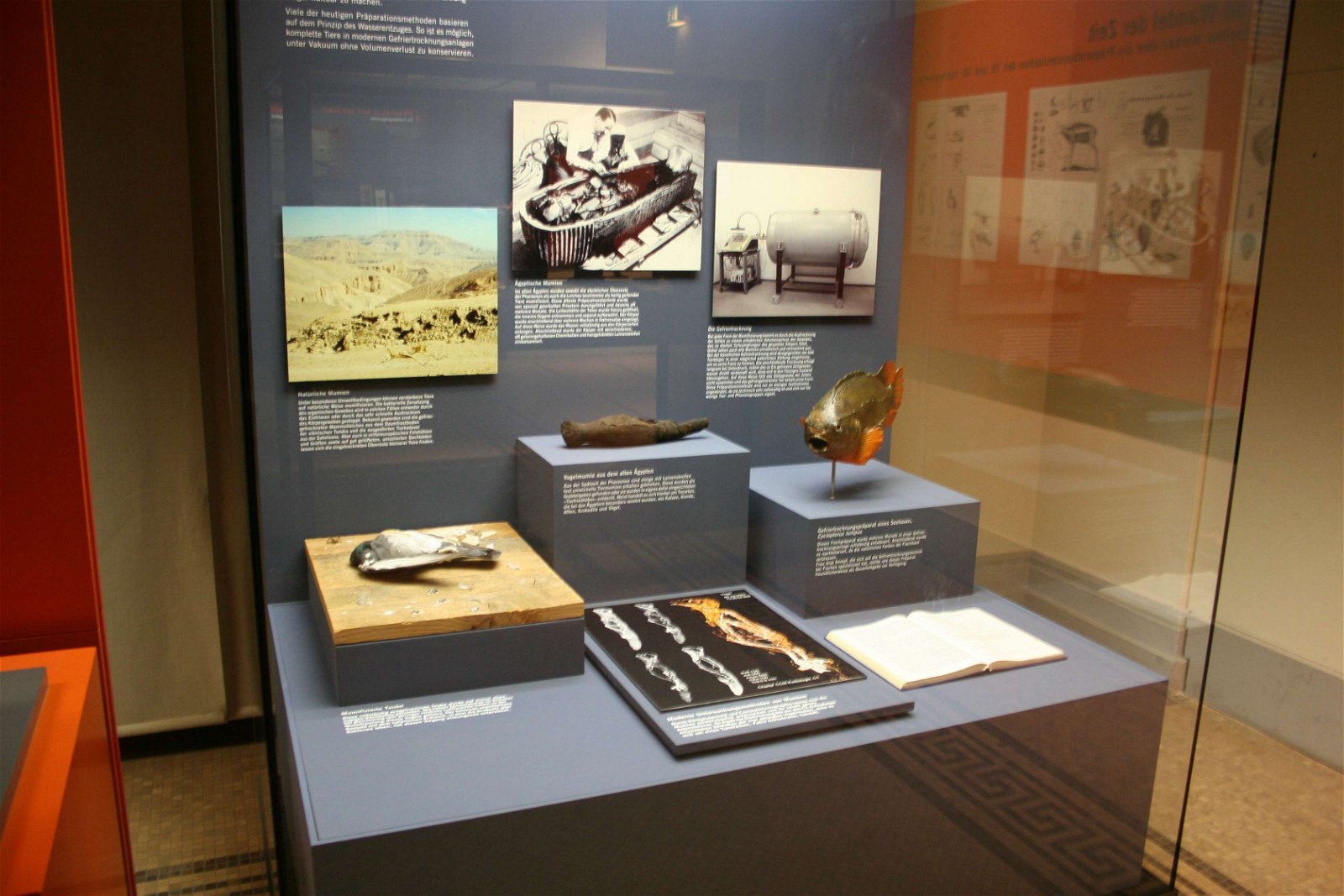 Natural History Museum Berlin