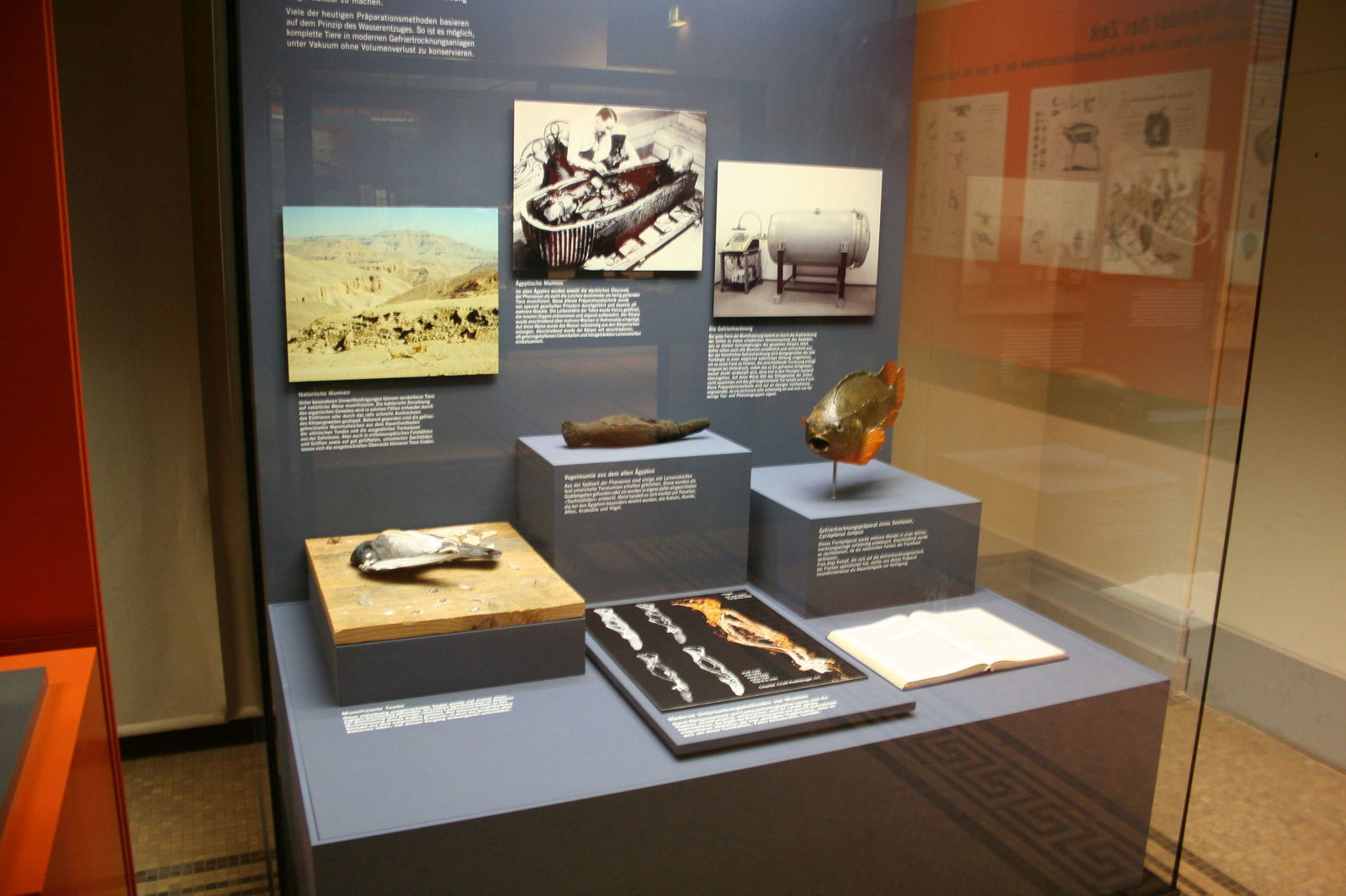 Natural History Museum Berlin