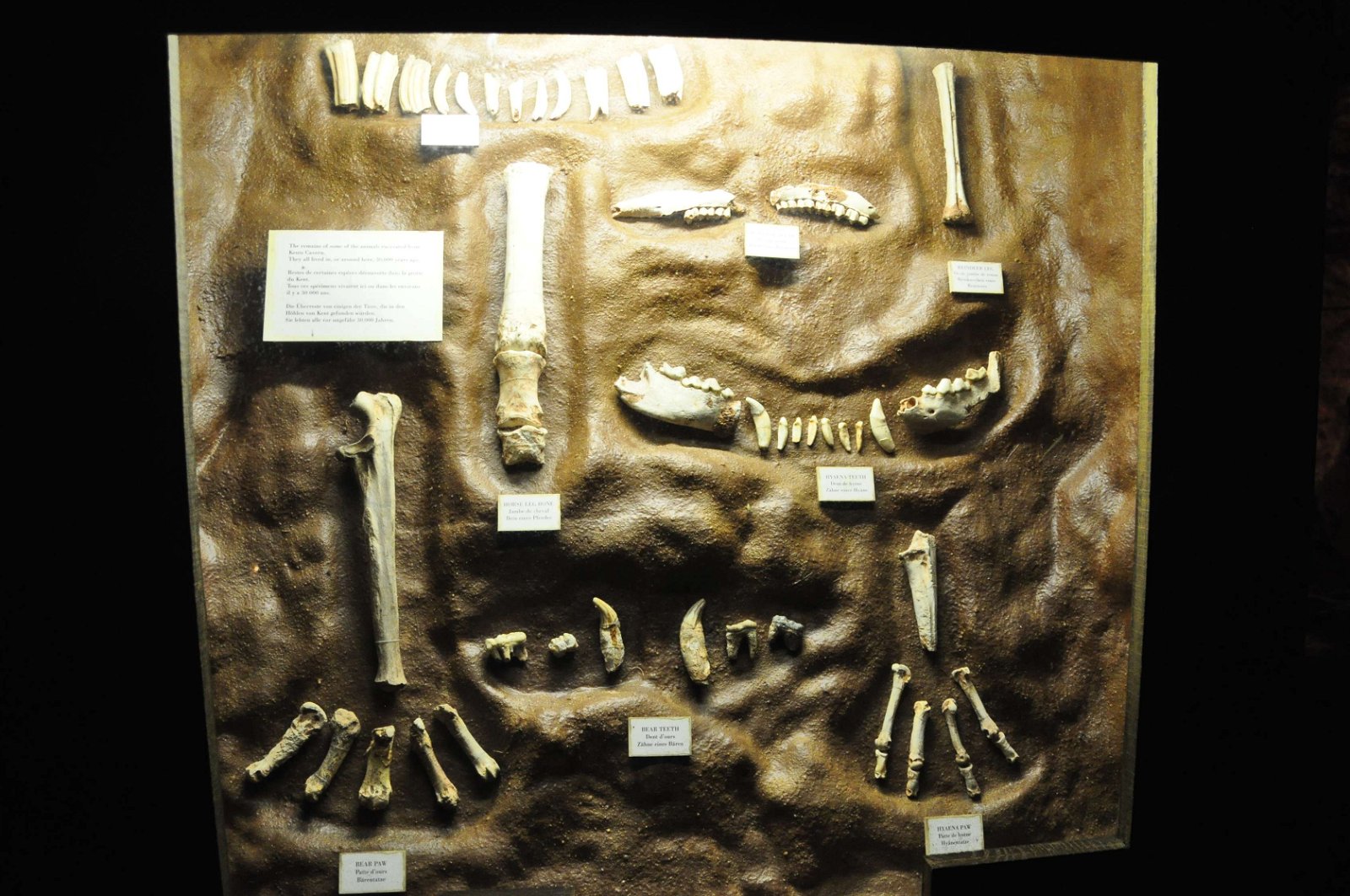 Kents Cavern Prehistoric Caves