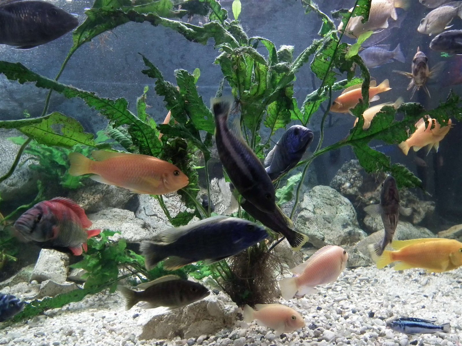 Aquarium and Museum of Natural History in Krakow