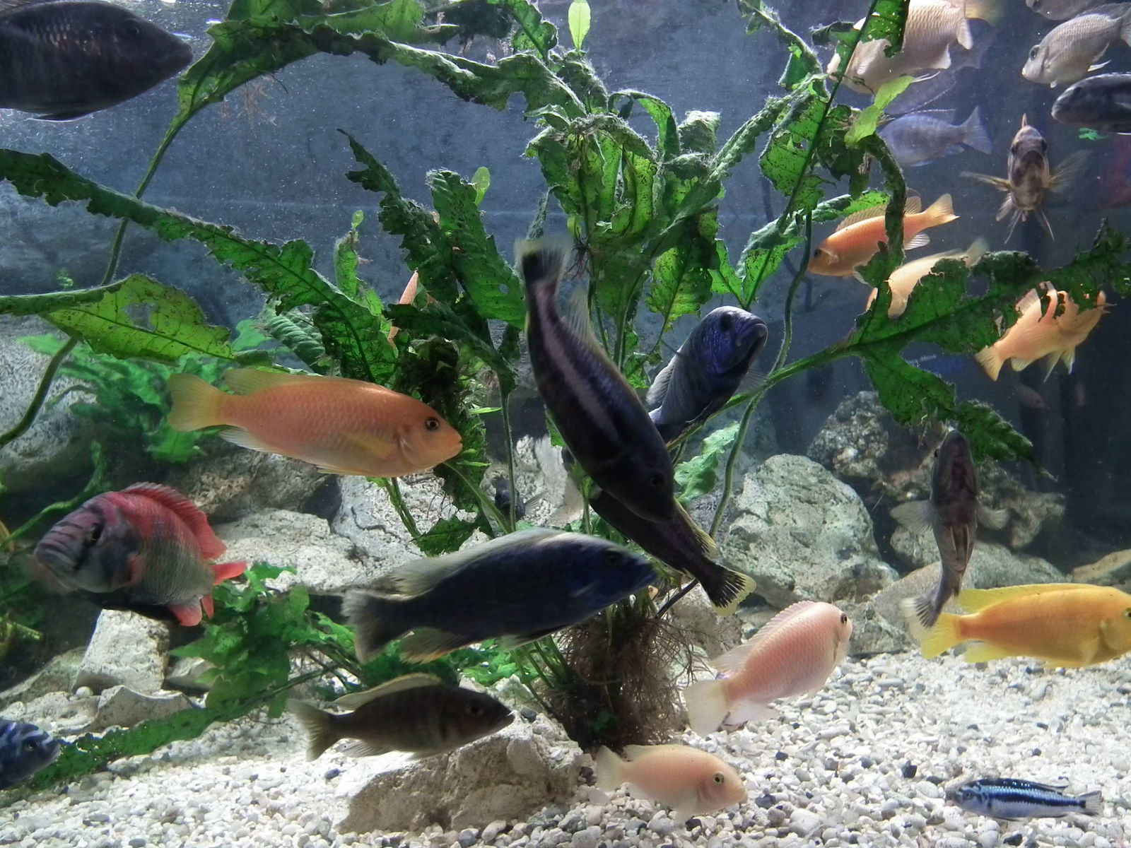 Aquarium and Museum of Natural History in Krakow