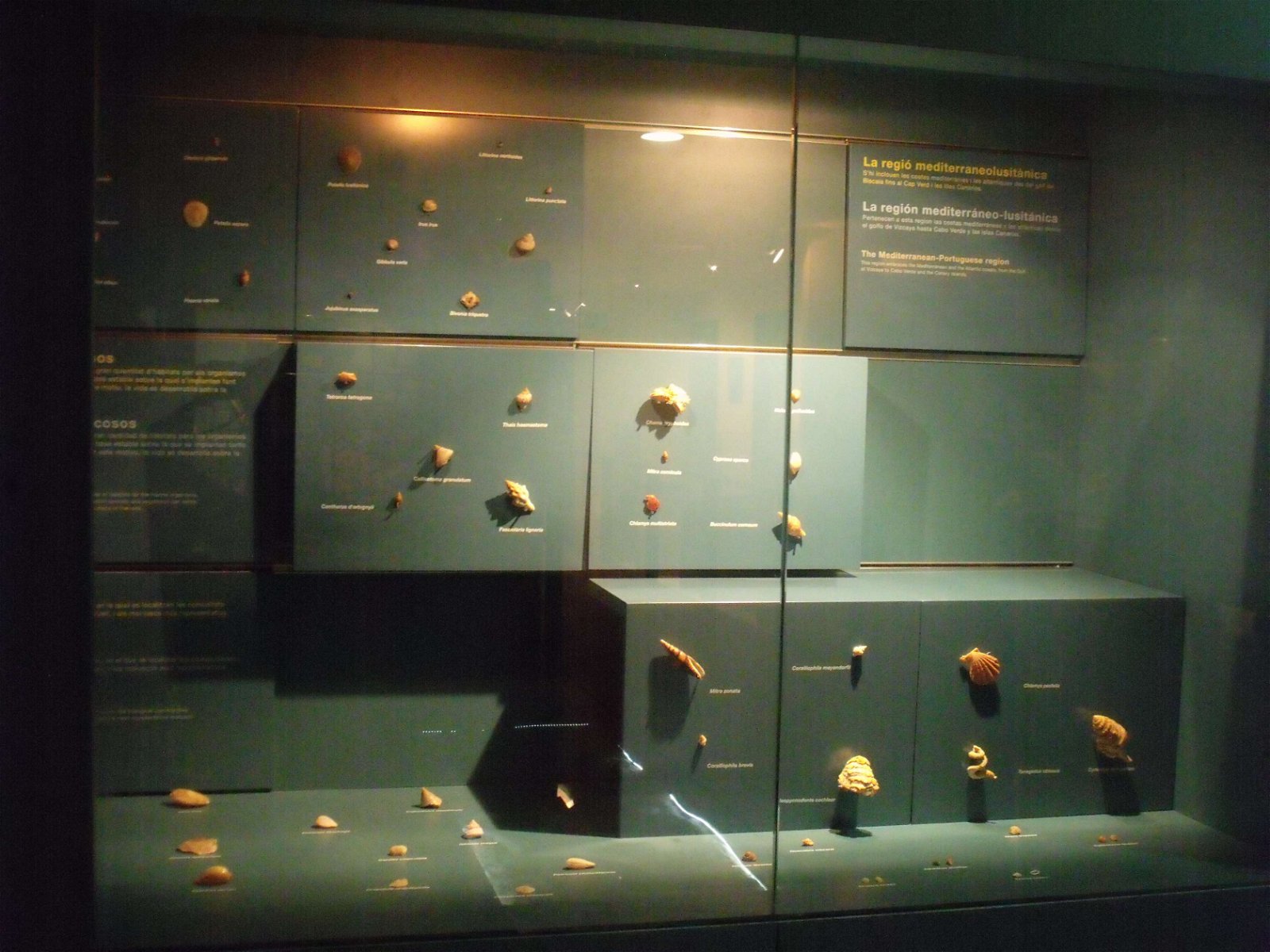 Museo de Ciencias Naturales