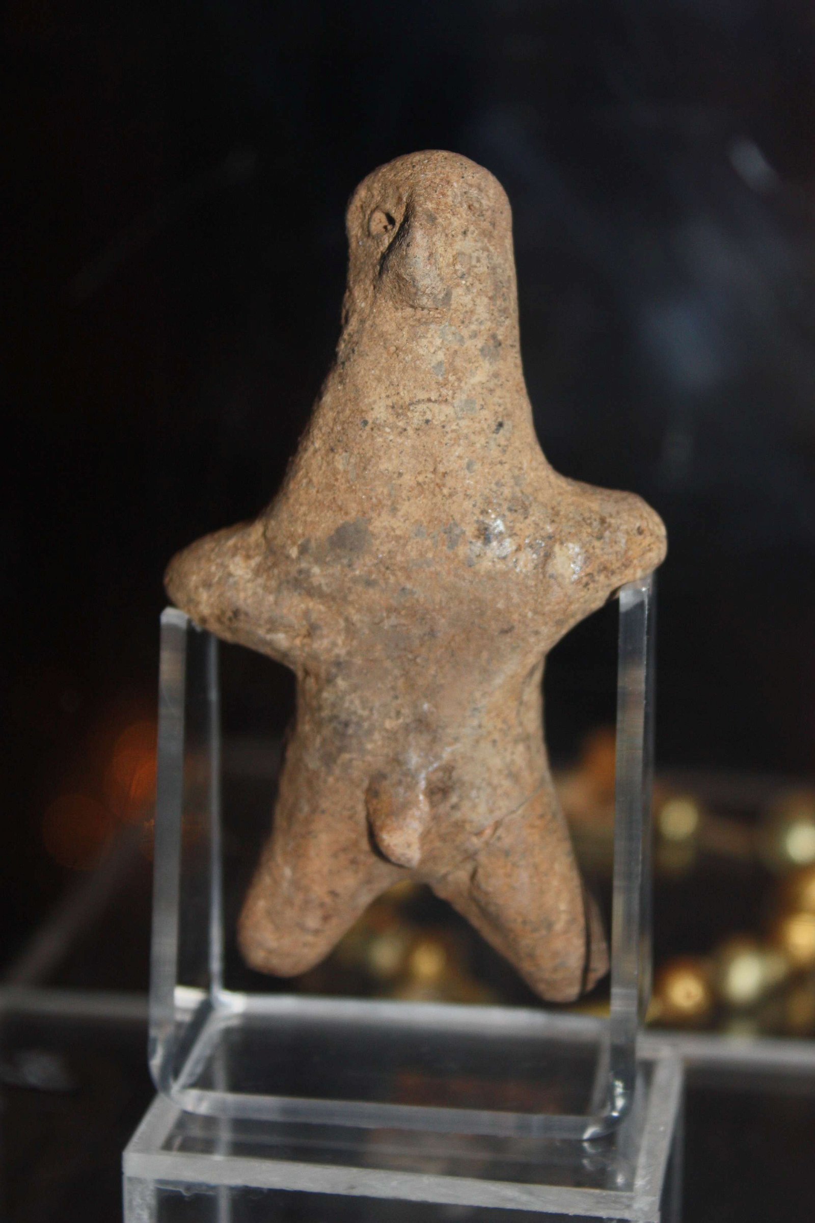 National History Museum