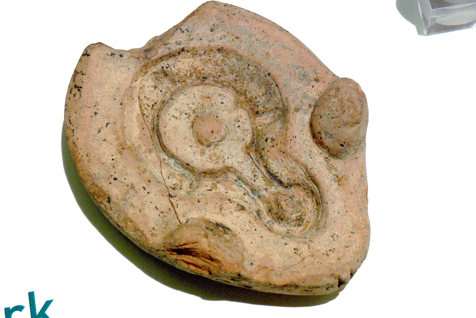 Roman Museum at the Hoher Markt