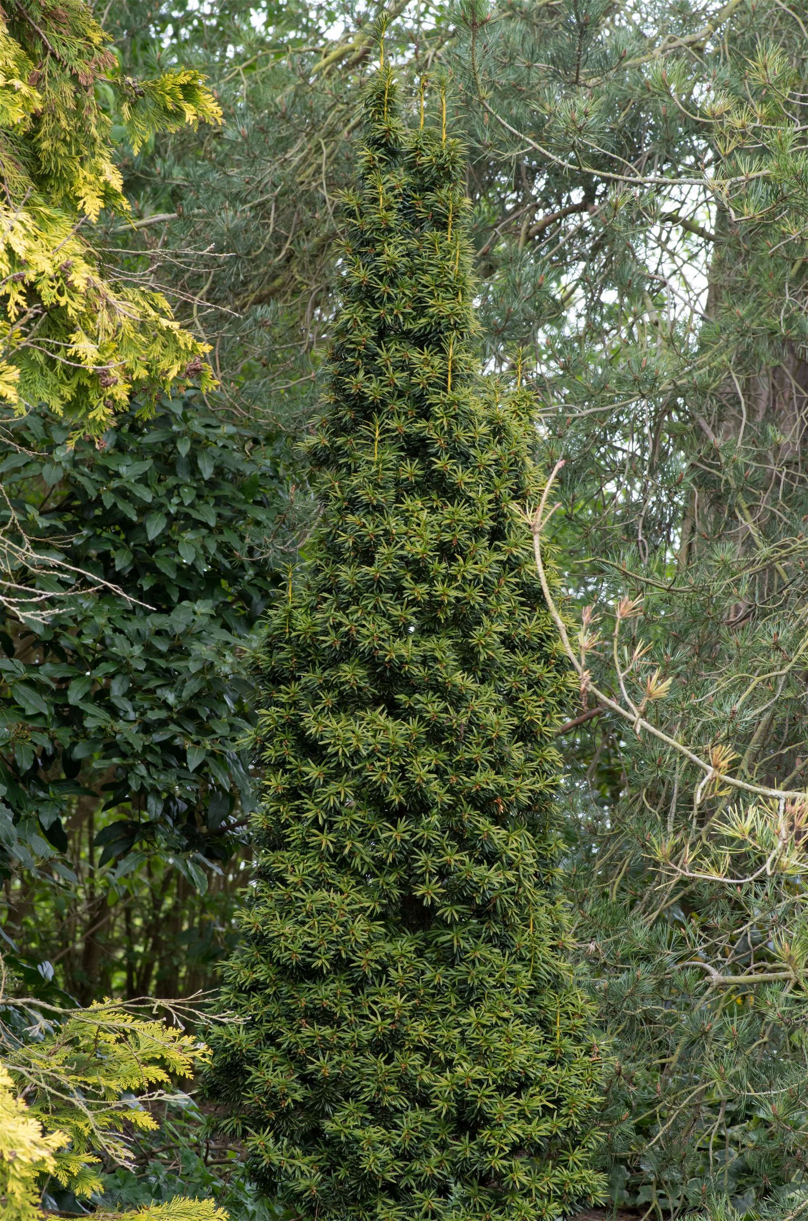 Stewart's Burnby Hall Gardens and Museum