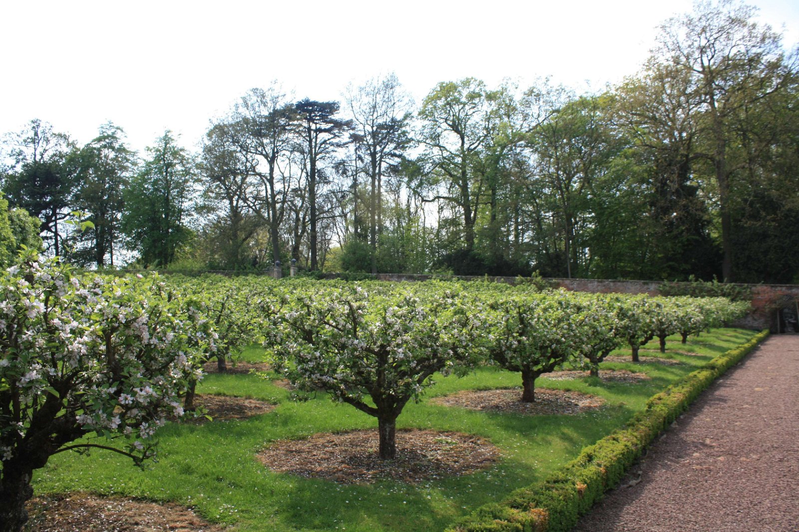 The Faringdon Collection