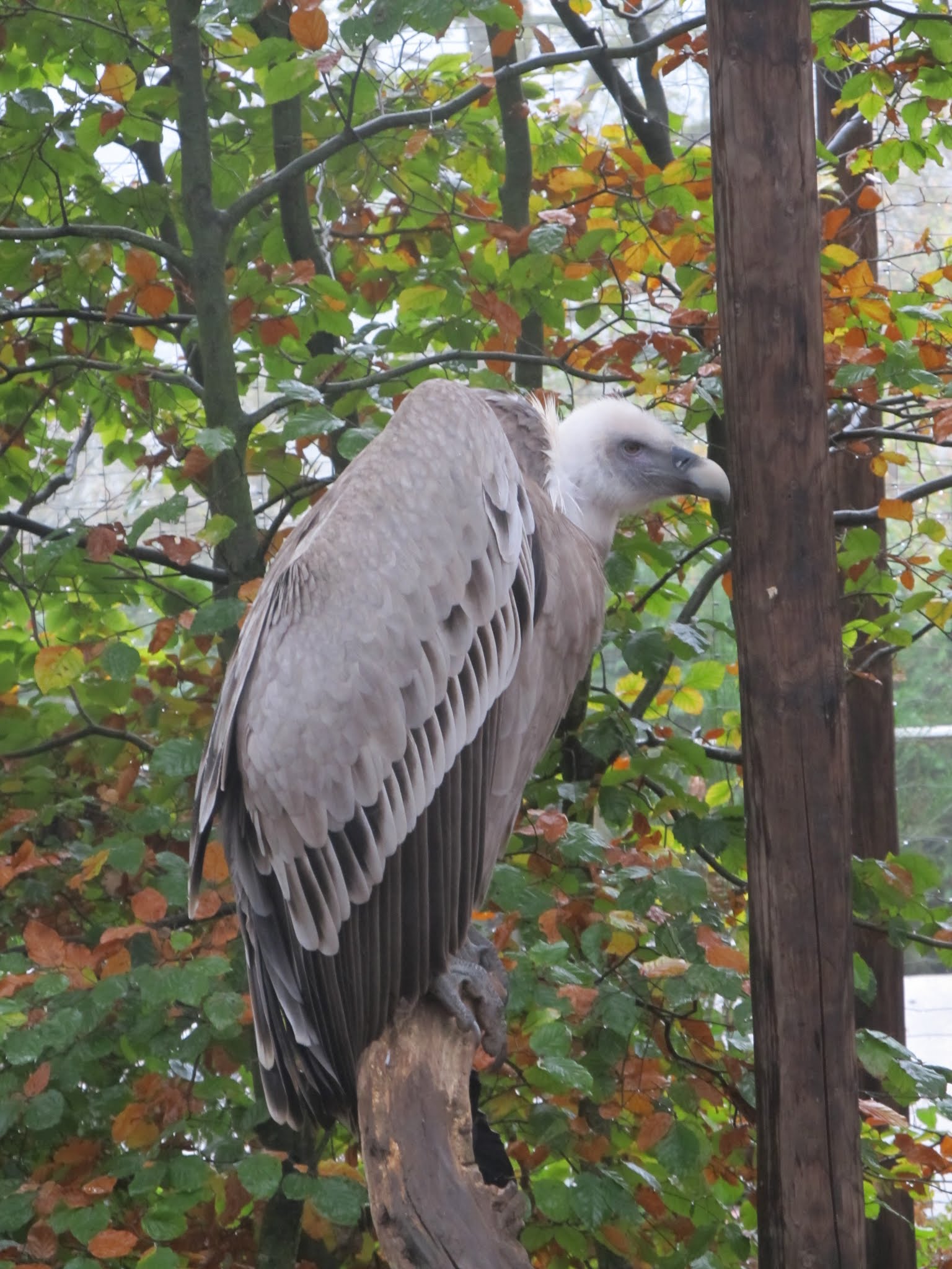 Parc animalier de Bouillon