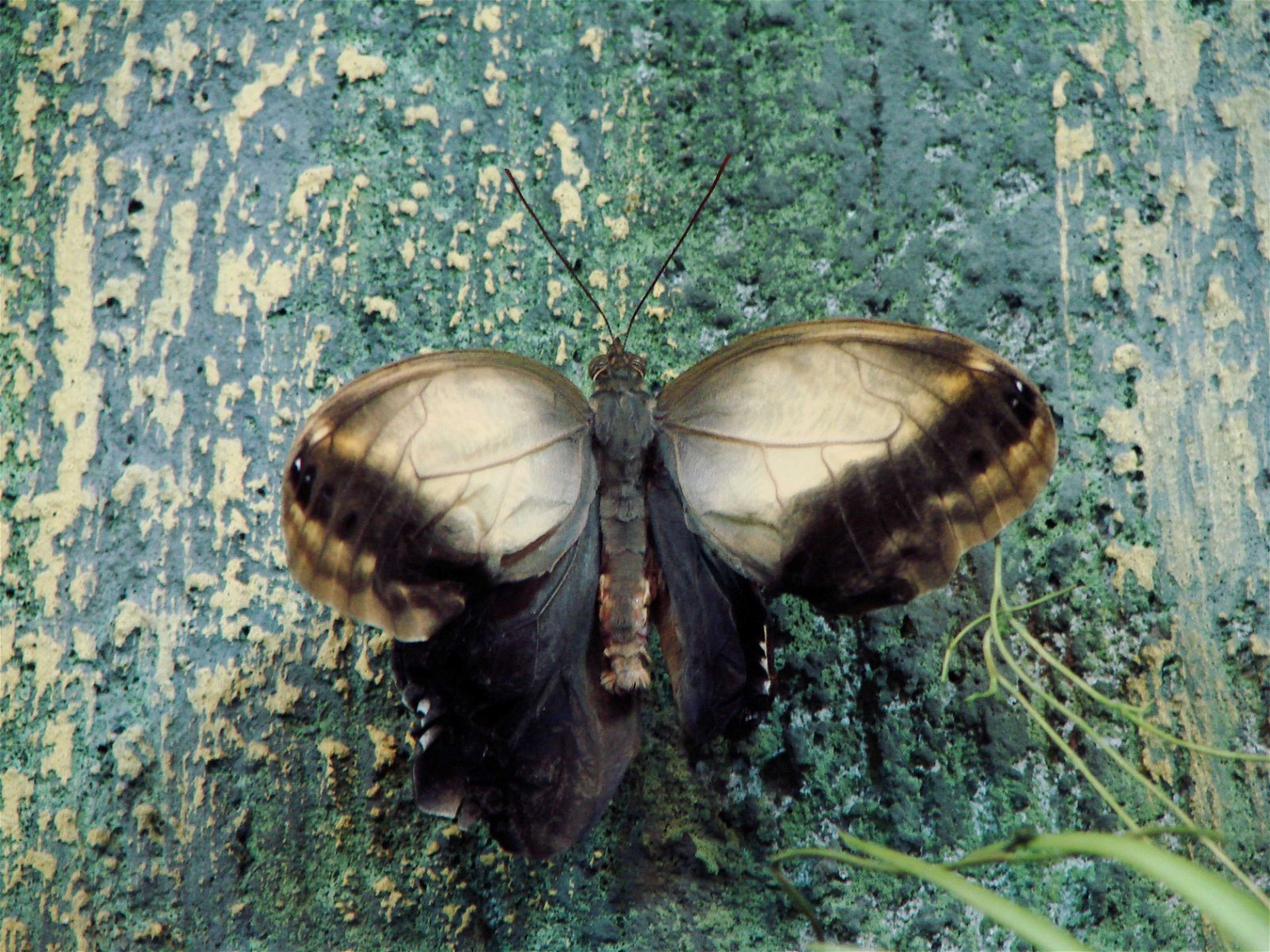 Wroclaw Zoo & Africarium