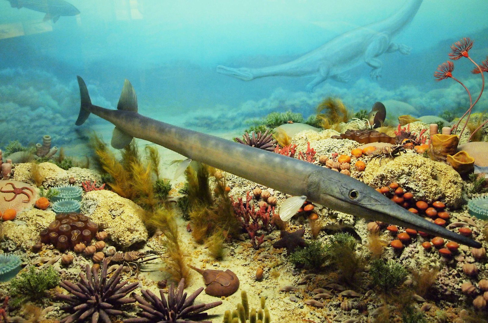 Museum Mensch und Natur