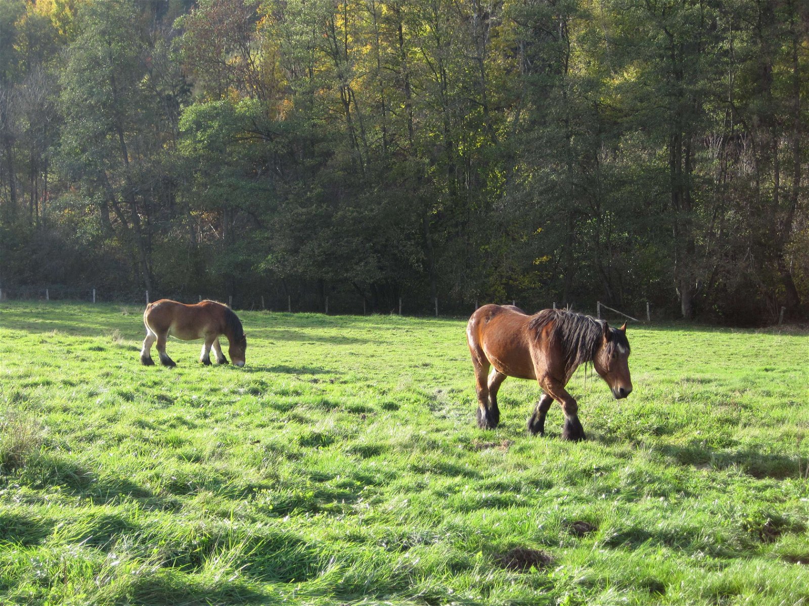 Musées du Fourneau Saint-Michel