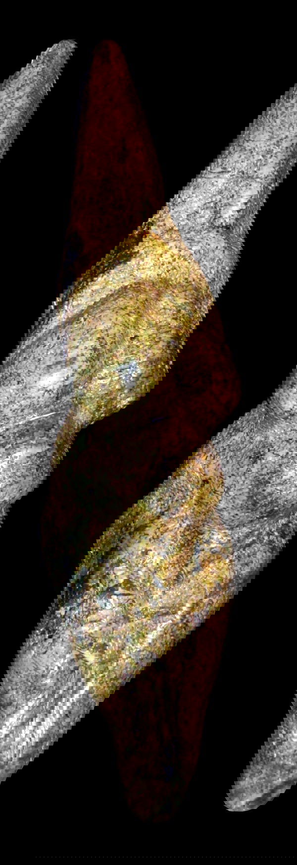 Pigorini National Museum of Prehistory and Ethnography