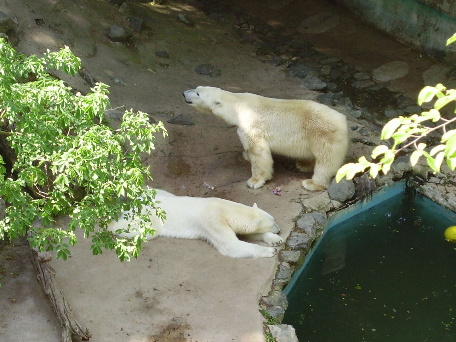 Zoo Brno