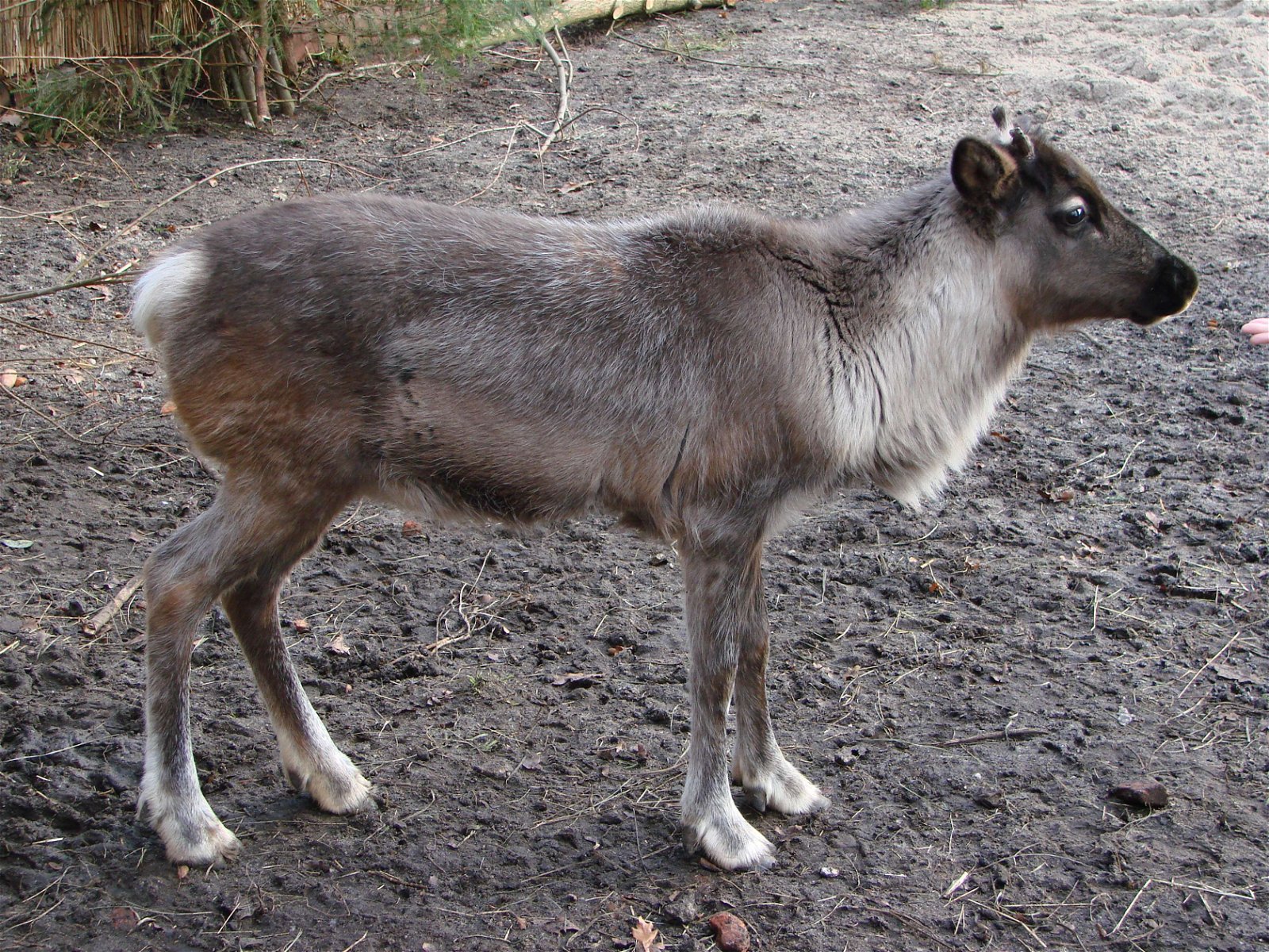 Wroclaw Zoo & Africarium