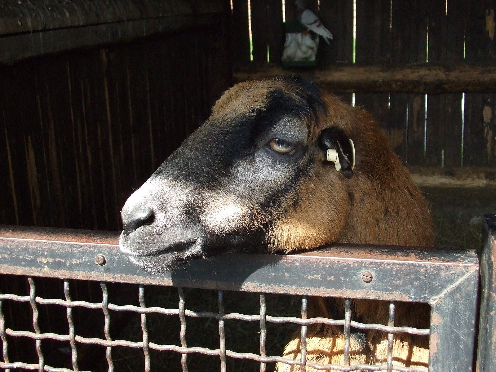 Wroclaw Zoo & Africarium
