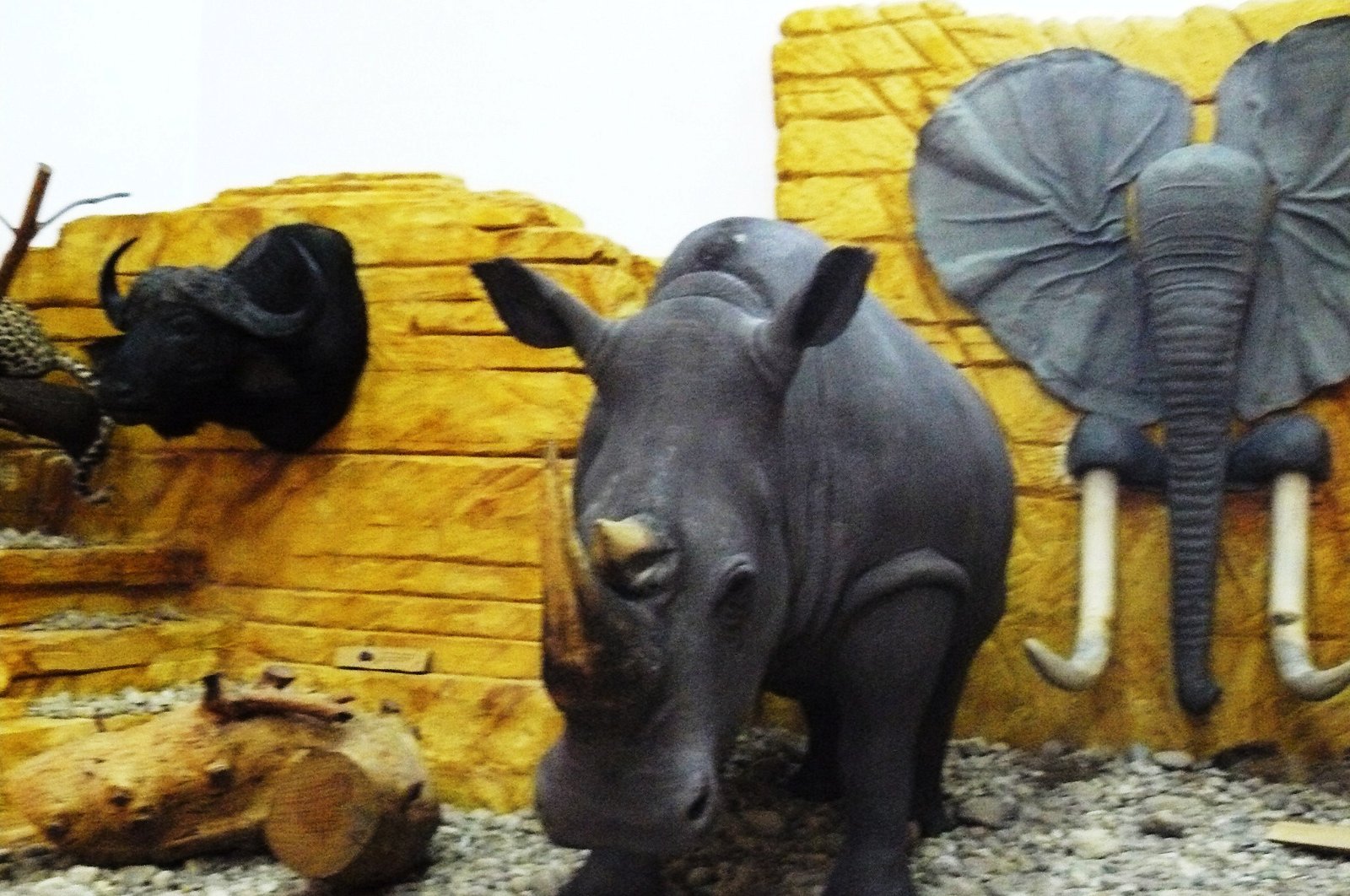 Museum of Natural Environment and Hunting