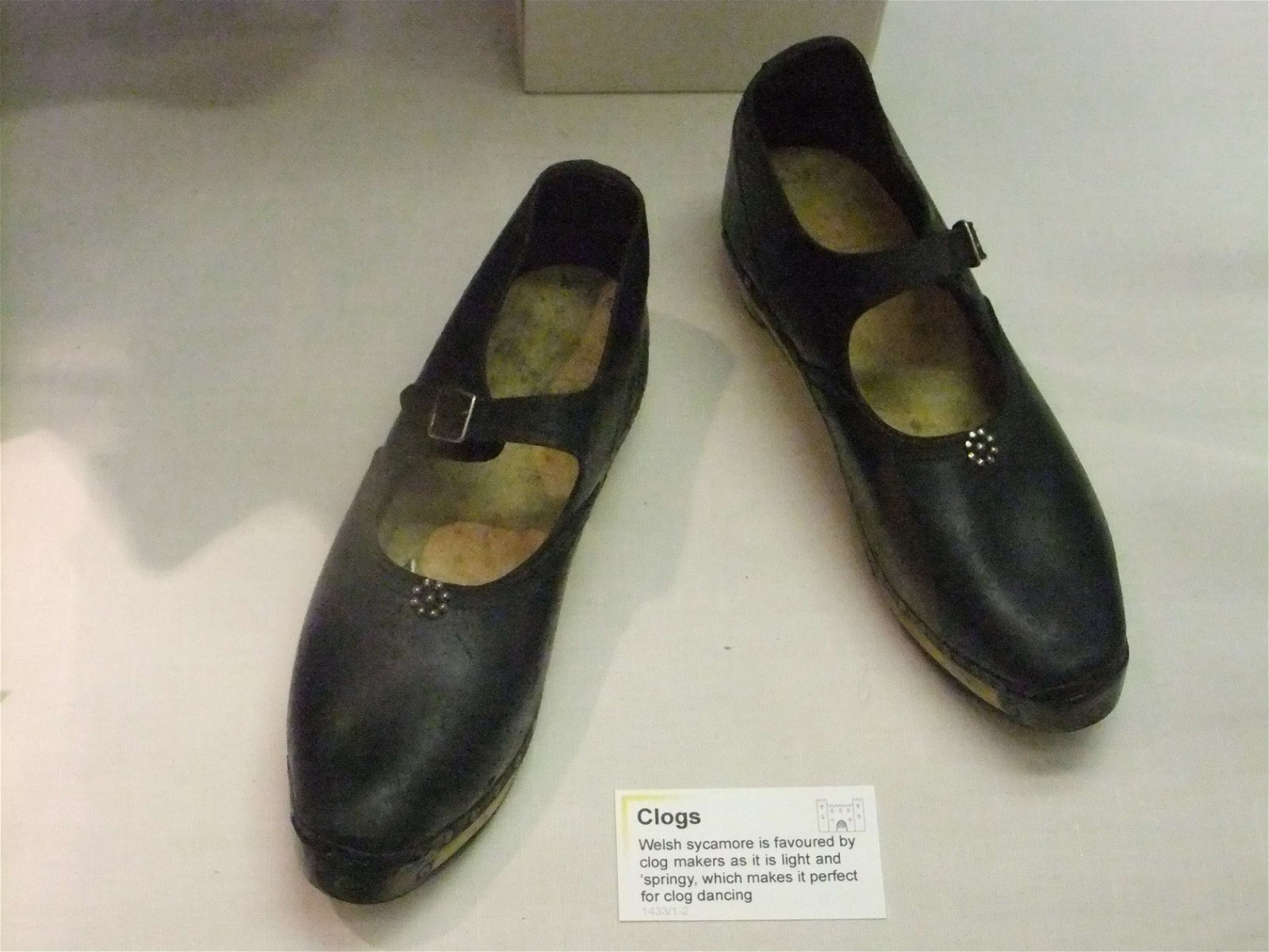 Hereford Museum and Art Gallery