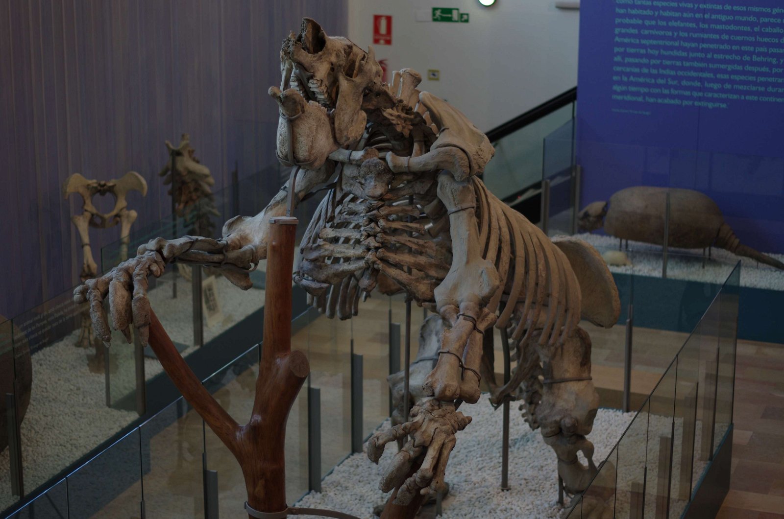 Museum of Natural Science