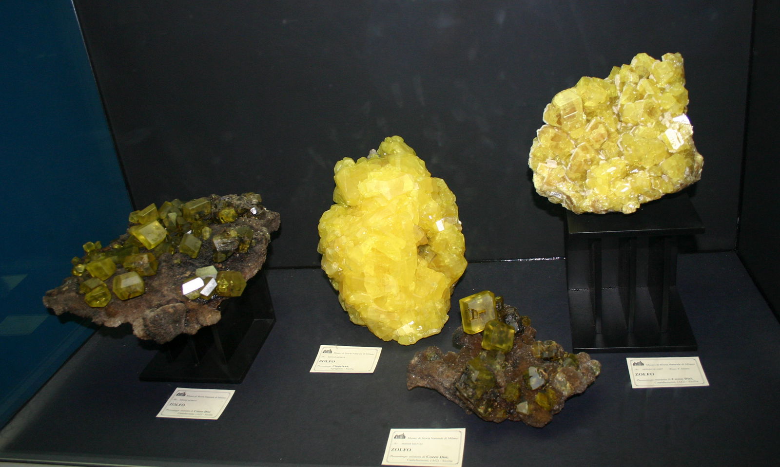 Civico Museo di Storia Naturale