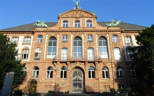 Senckenberg Natural History Museum