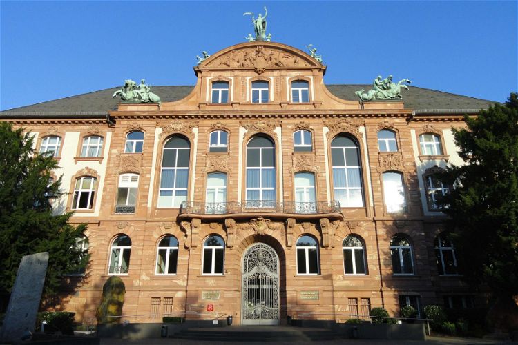 Senckenberg Natural History Museum