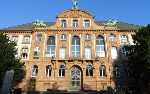 Senckenberg Natural History Museum