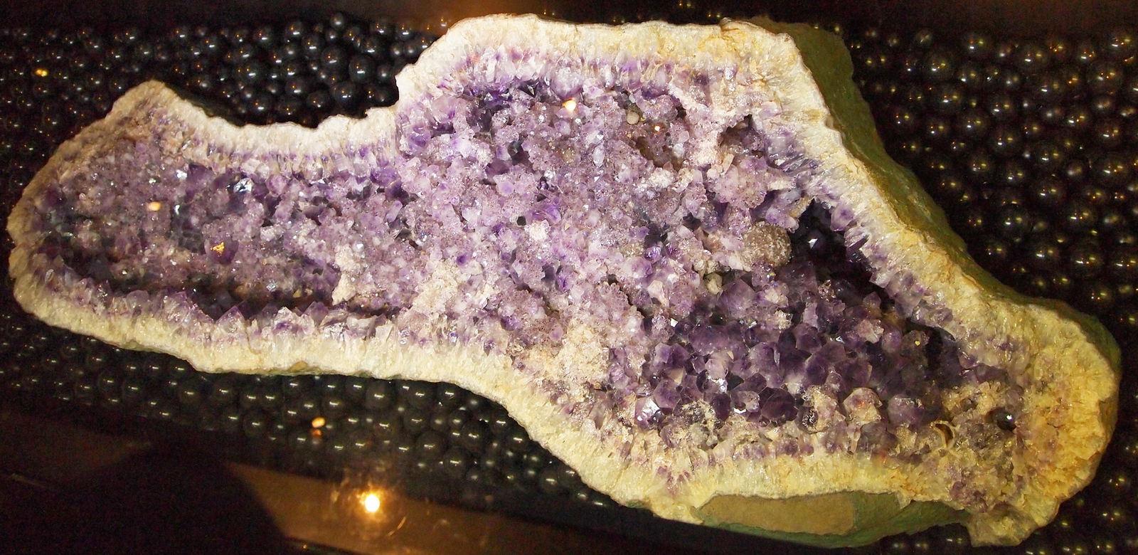 Museum Mensch und Natur