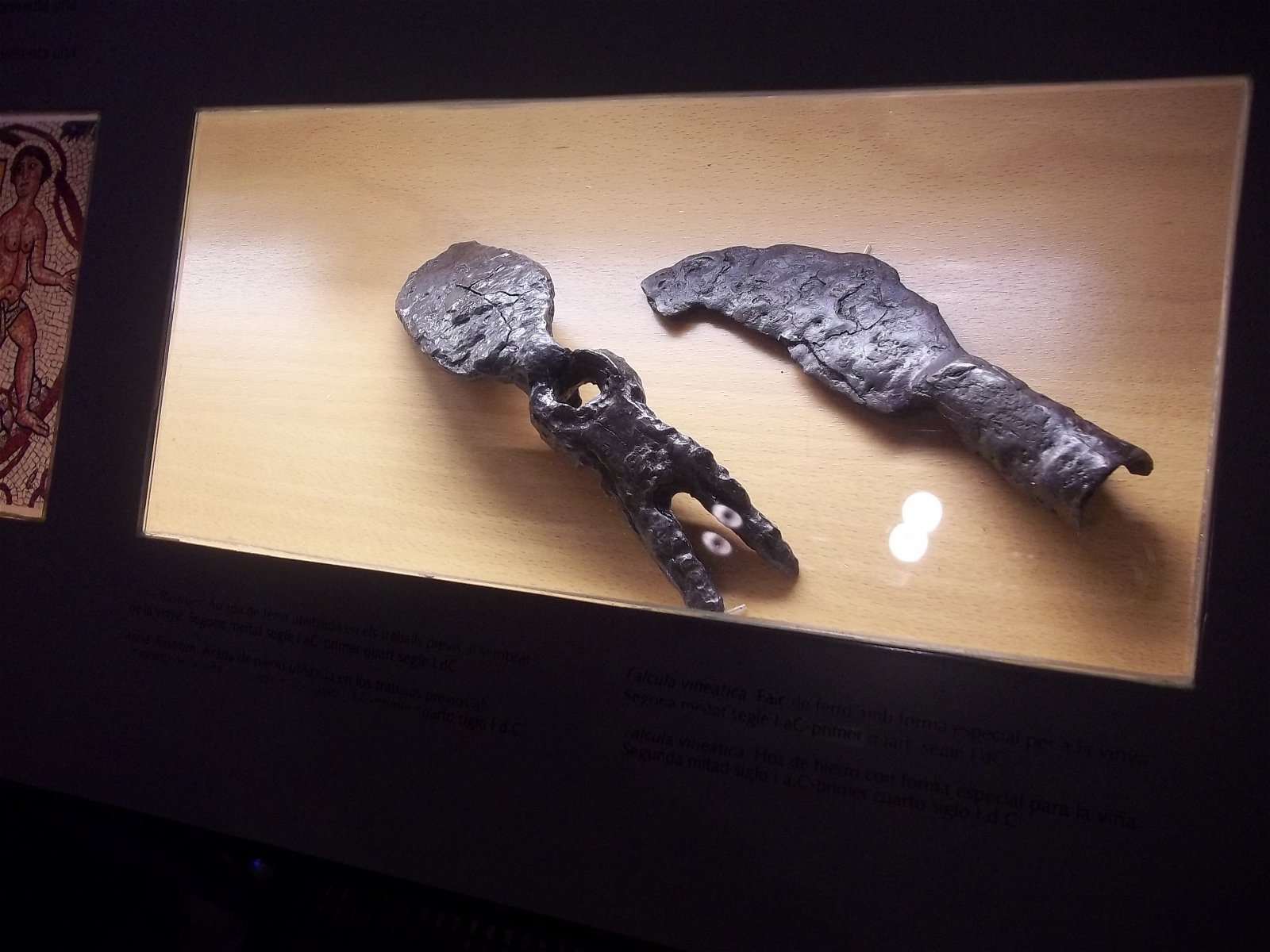 MUHBA Plaça del Rei