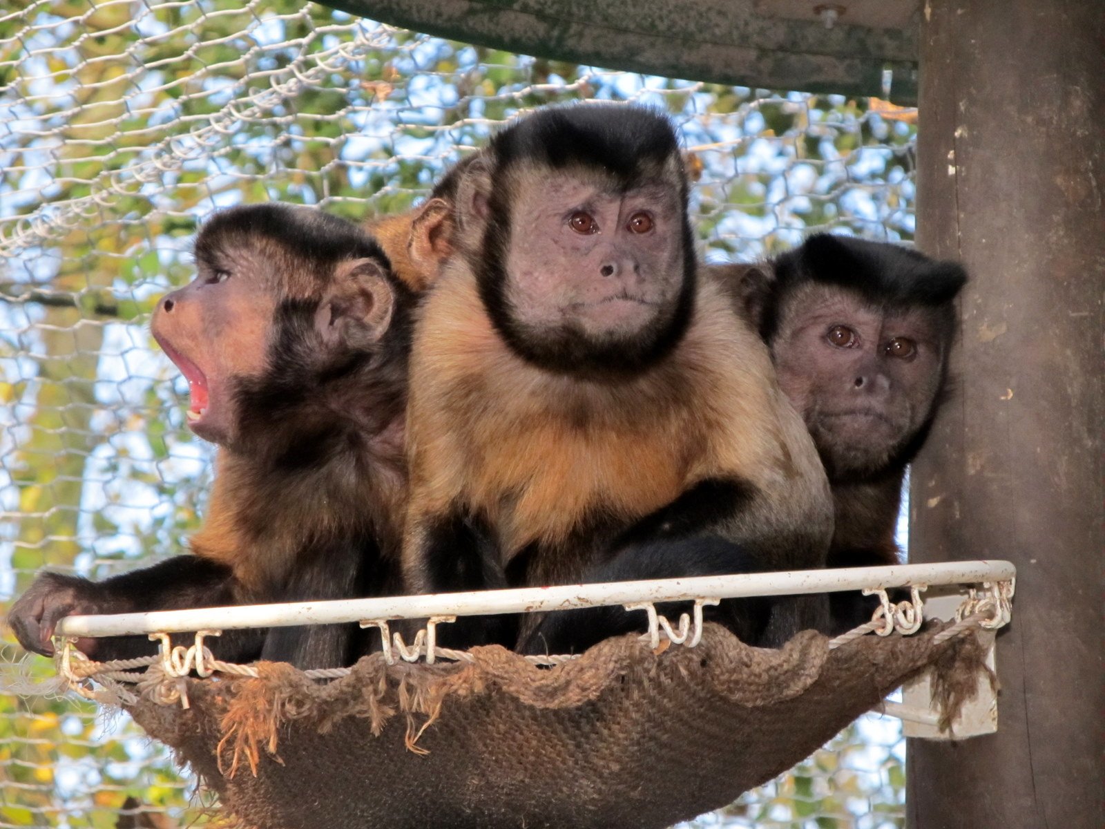 Familiepark Harry Malter