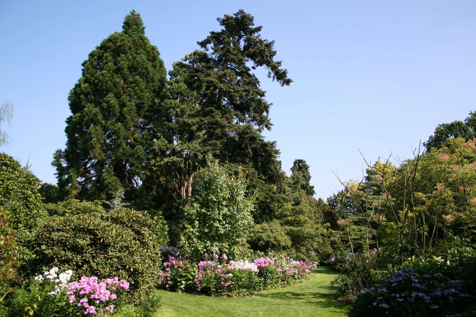 Arboretum Kalmthout