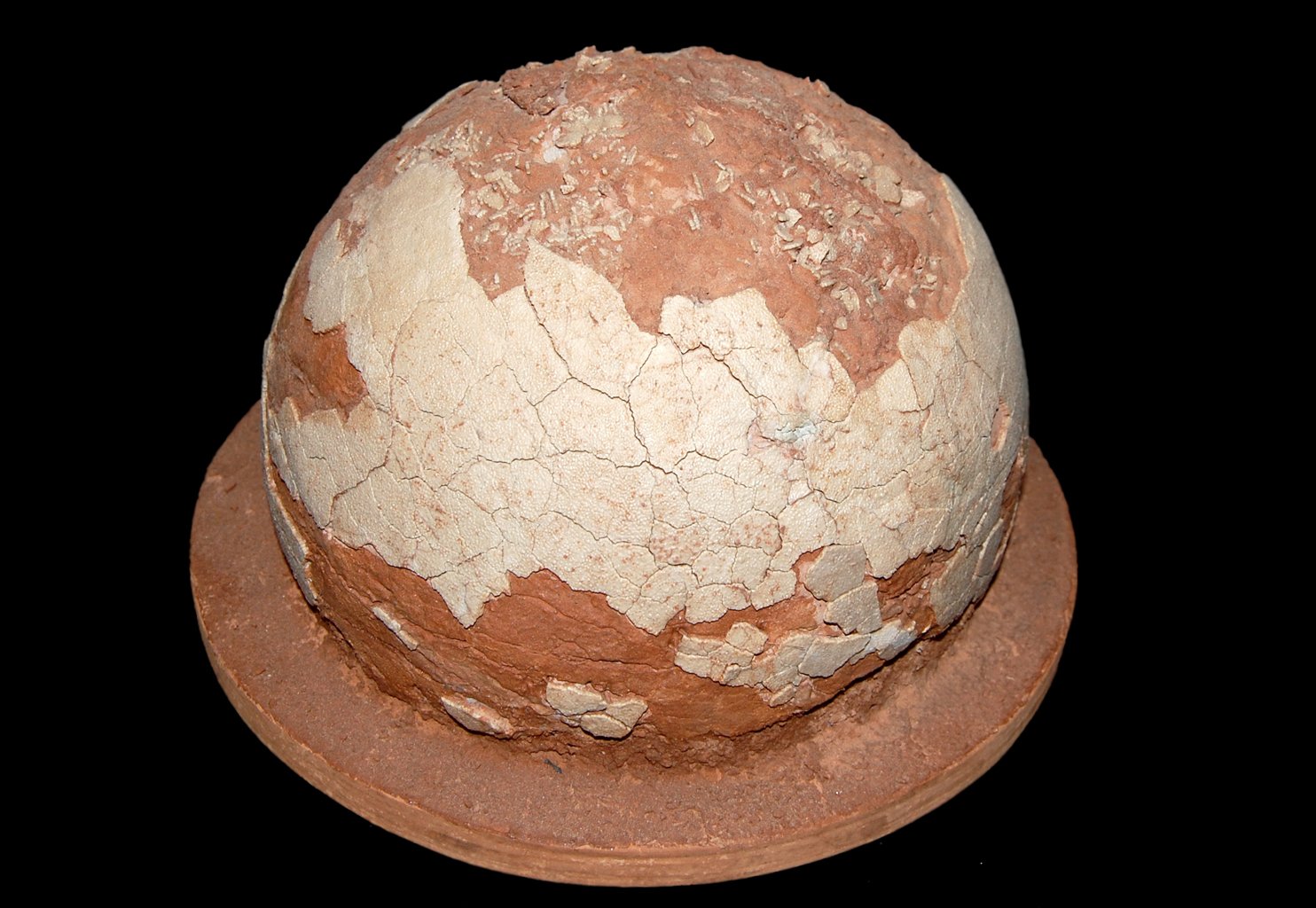 Natural History Museum