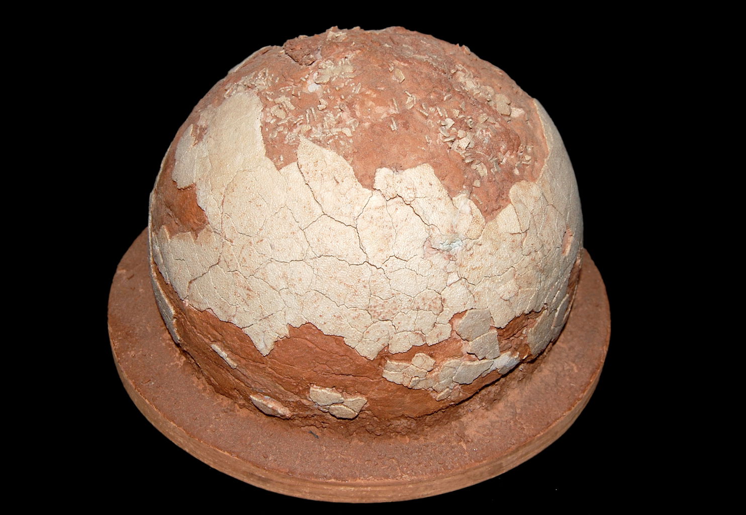 Naturhistorisches Museum