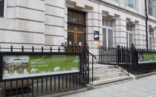 Grant Museum of Zoology