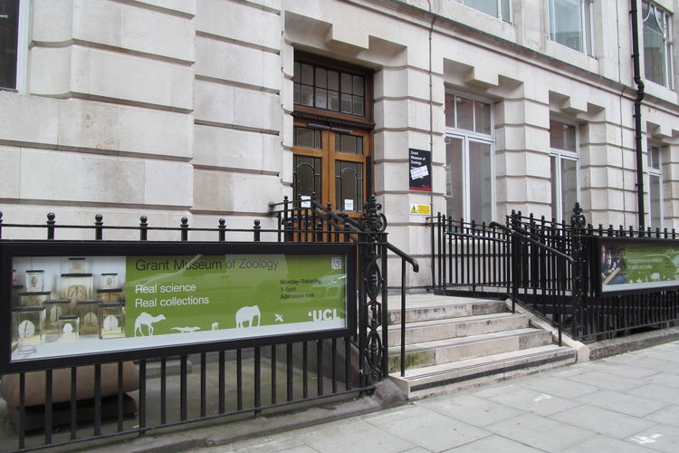 Grant Museum of Zoology