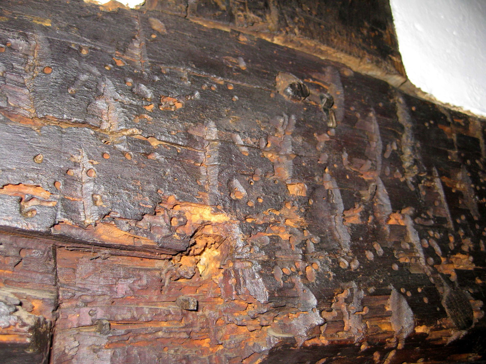 Guildhall de Leicester