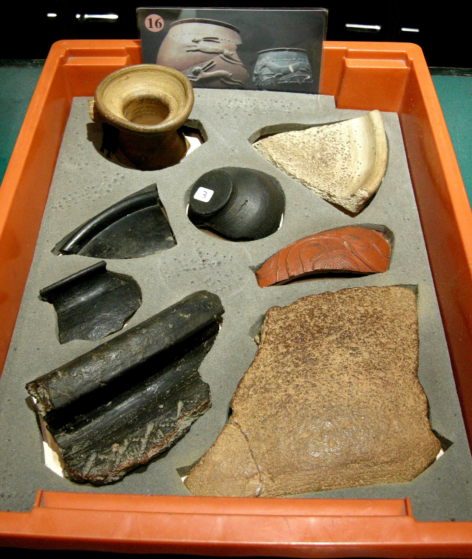 Canterbury Roman Museum