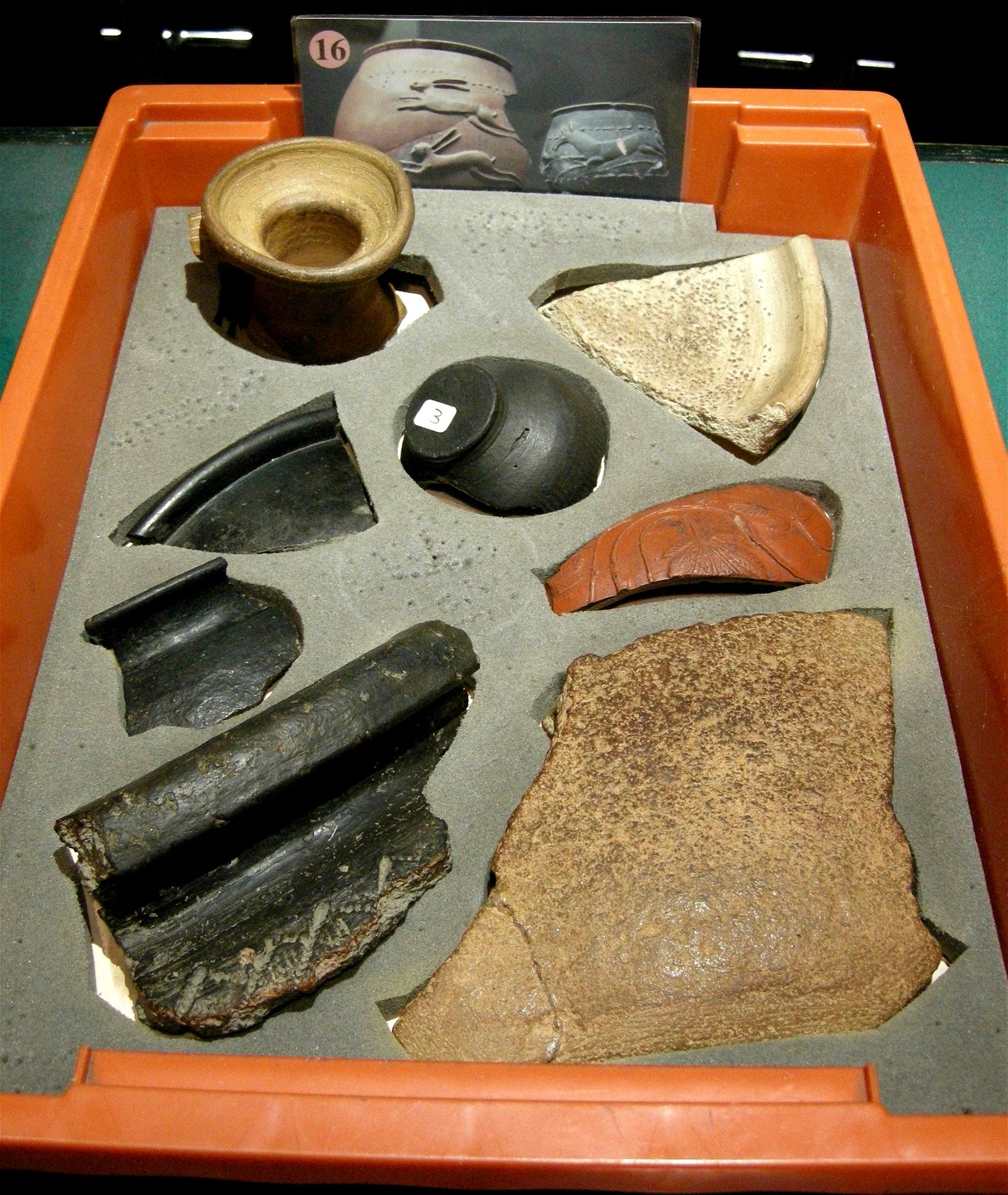 Canterbury Roman Museum