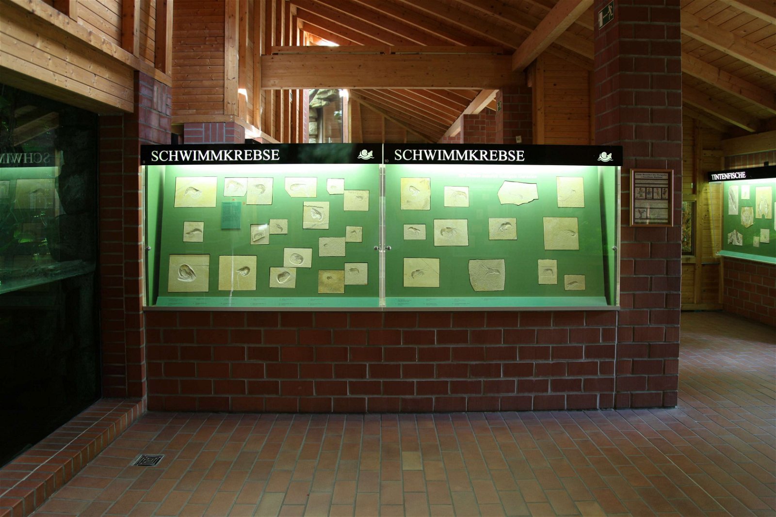 Tierpark und Fossilium Bochum