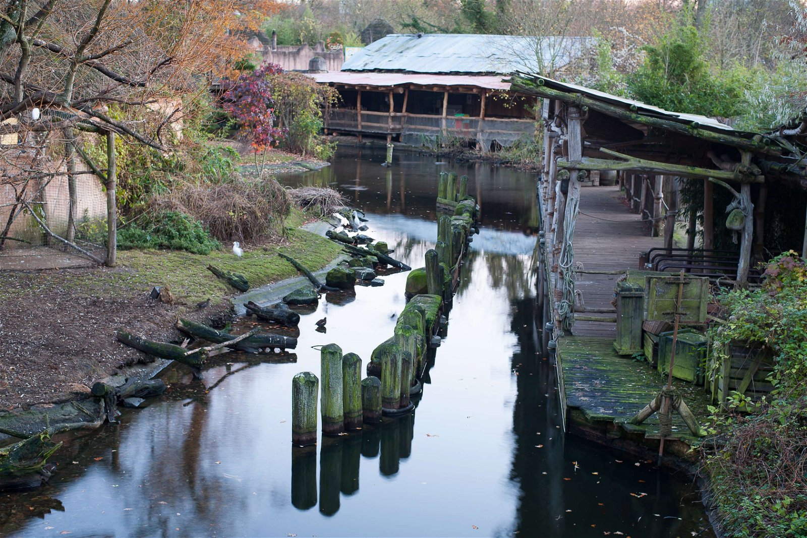Erlebnis Zoo Hannover