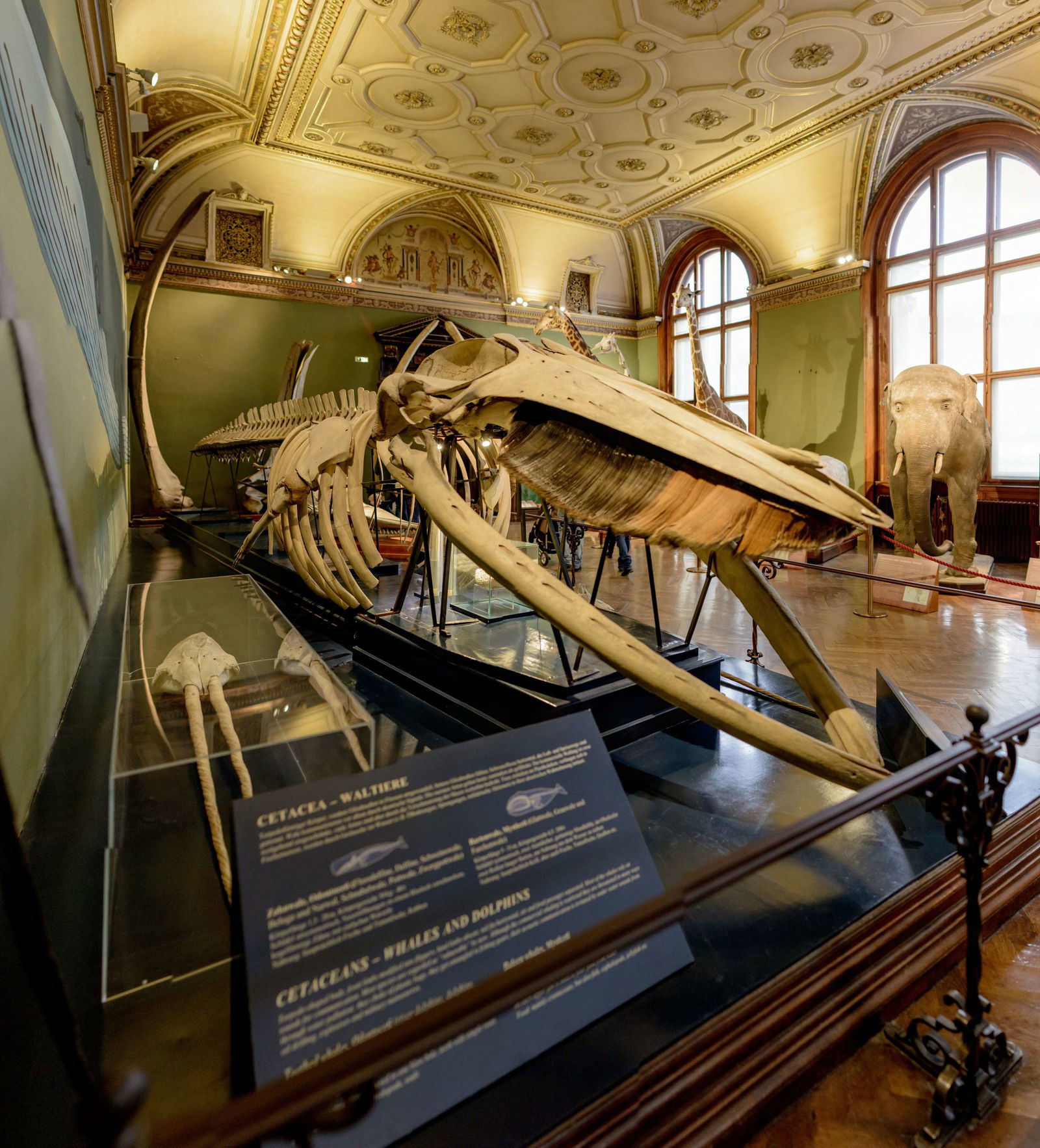 Naturhistorisches Museum