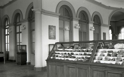 Museo di Mineralogia Luigi Bombicci