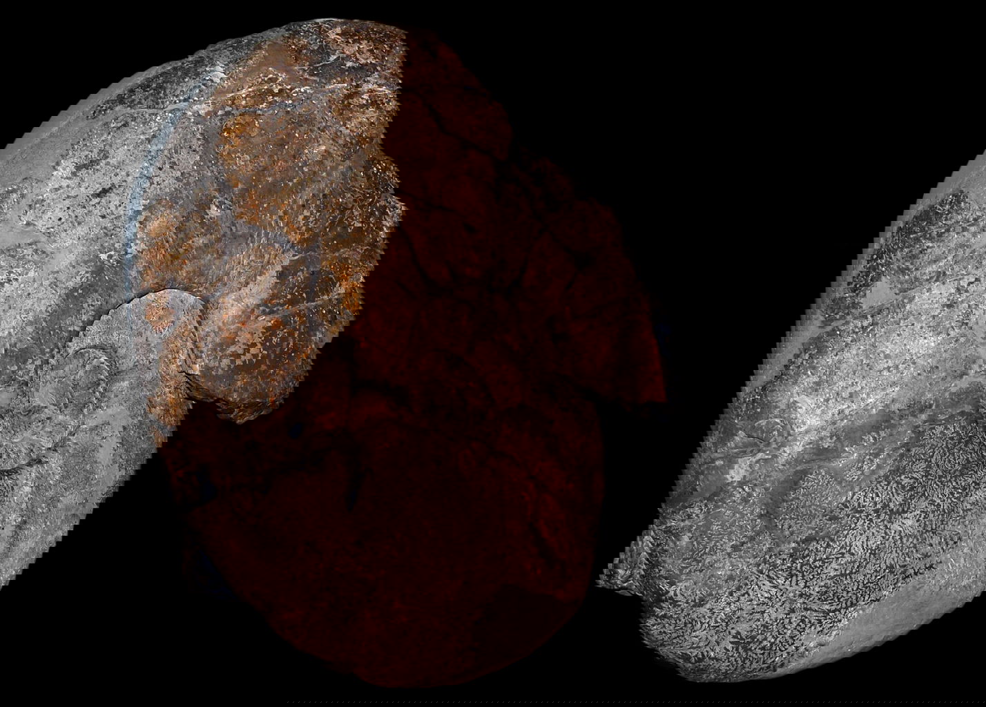 Naturhistorisches Museum