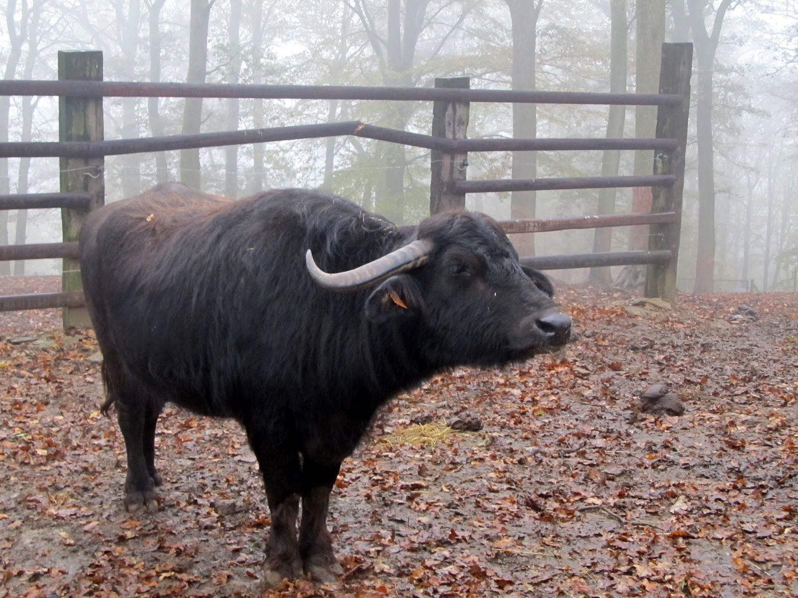 Bouillon Wildlife Park