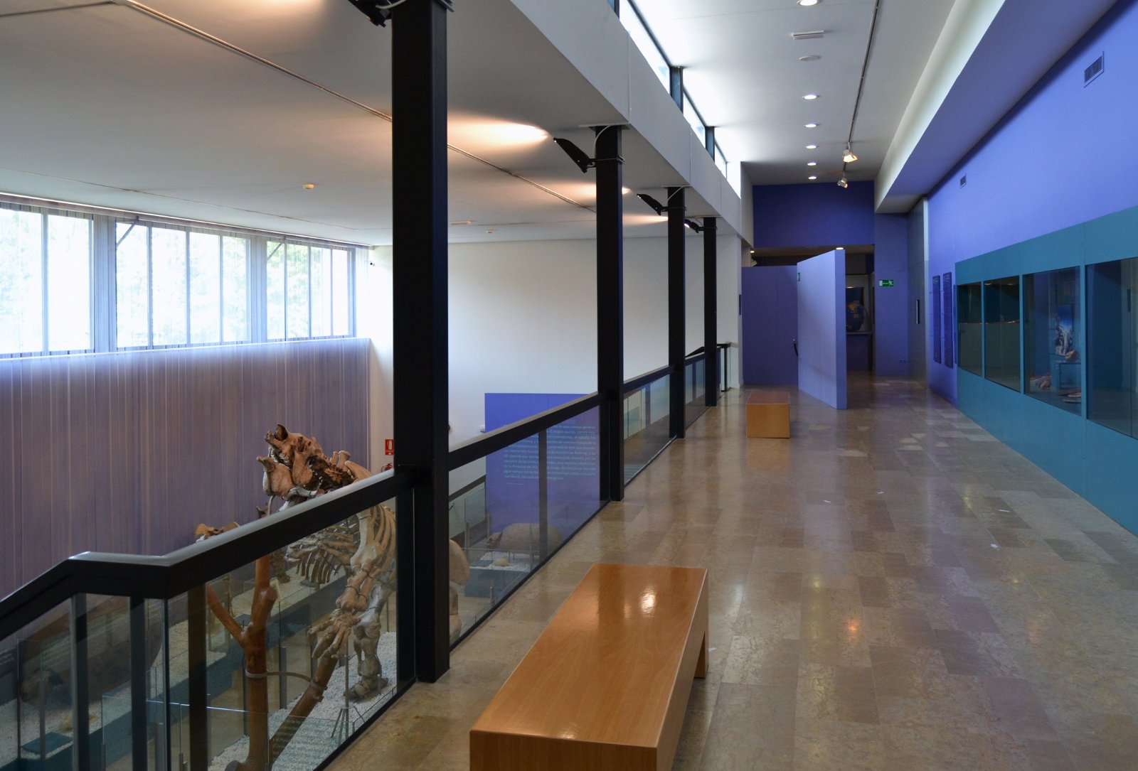 Museum of Natural Science