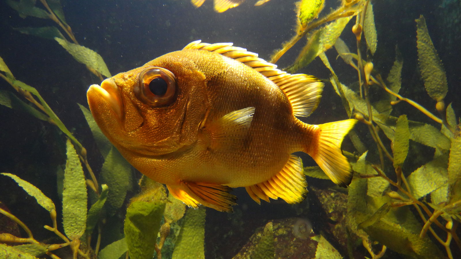 Zoologischer Garten Leipzig