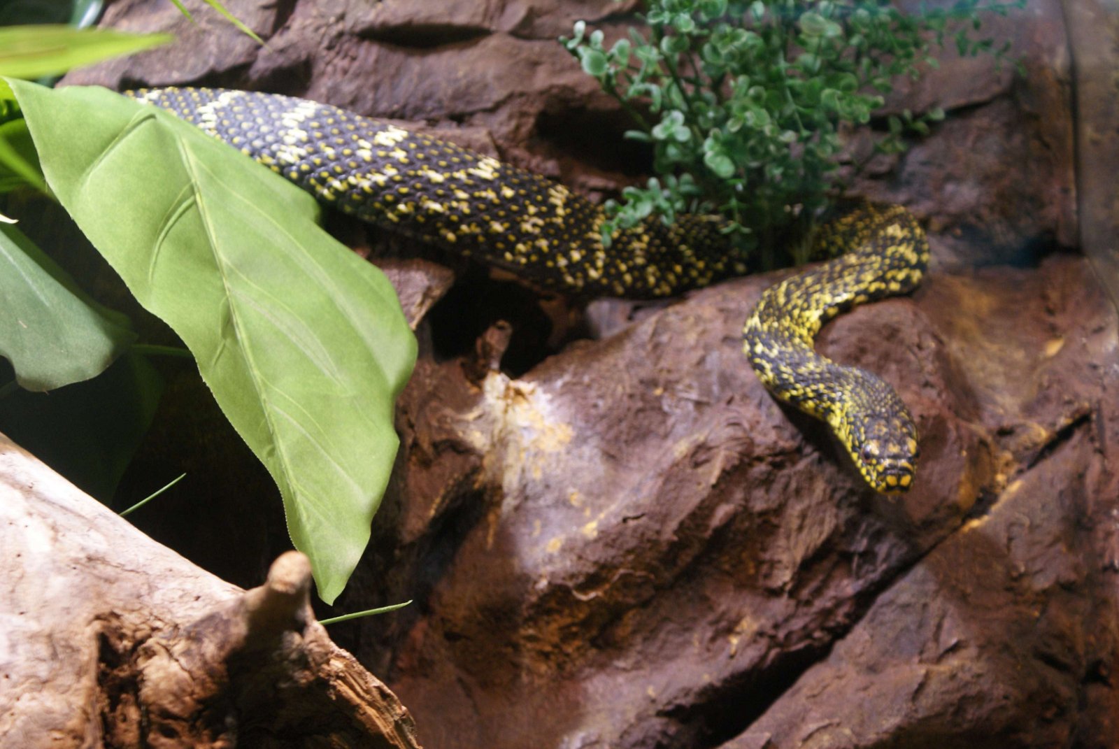 Tropicarium - Oceanarium