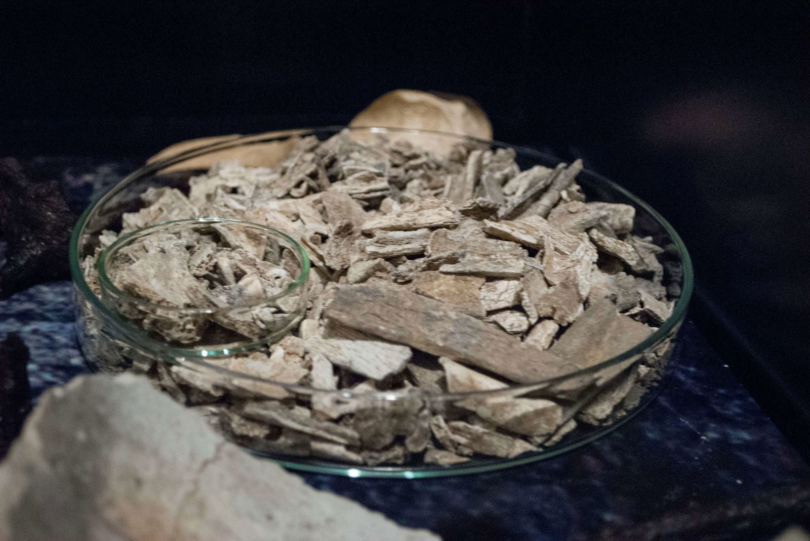 Römermuseum Wien - Wien Museum