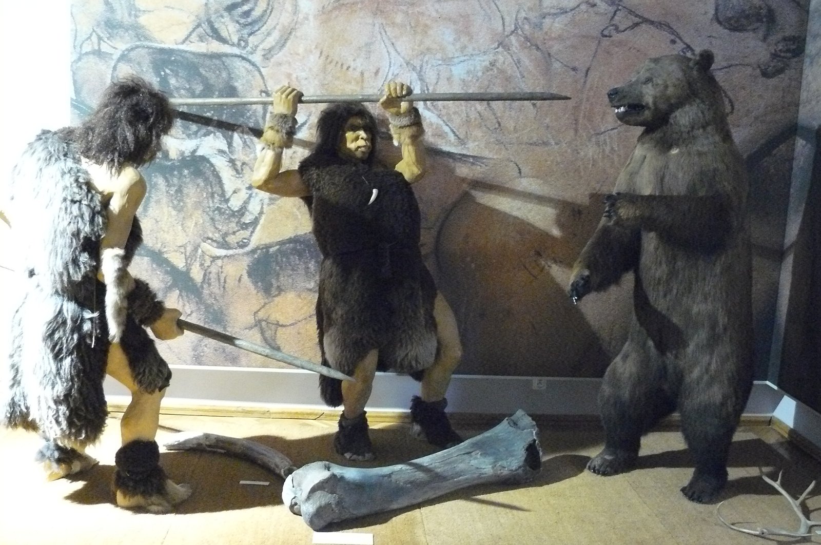 Museum of Natural Environment and Hunting