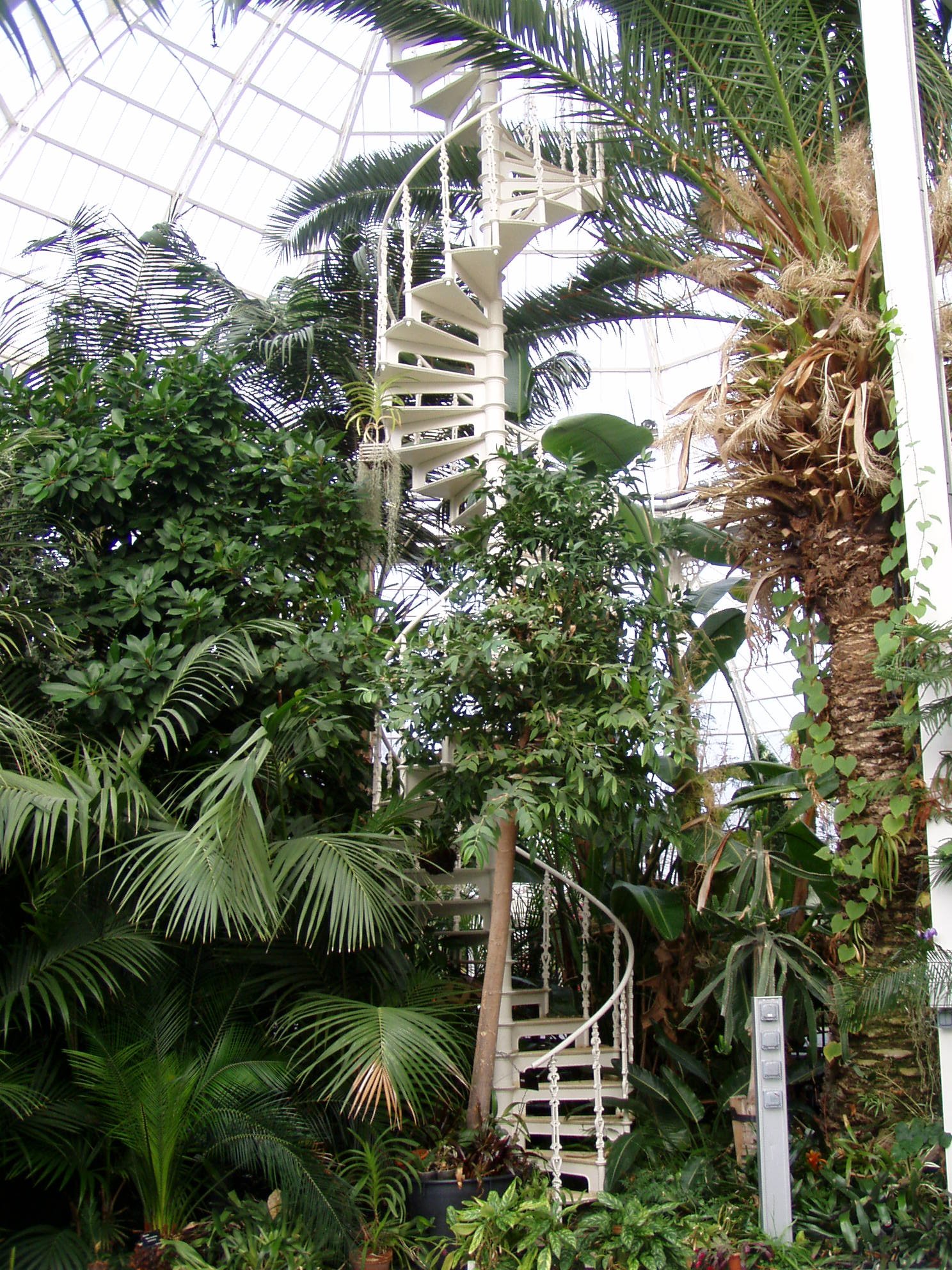 Sefton Park Palm House
